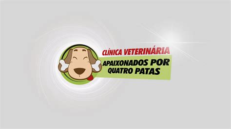 apaixonados por 4 patas marechal hermes|Apaixonados por Quatro Patas Marechal Hermes  .